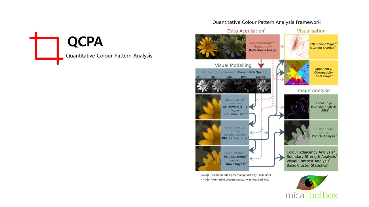 Quantitative Colour Pattern Analysis (BETA)